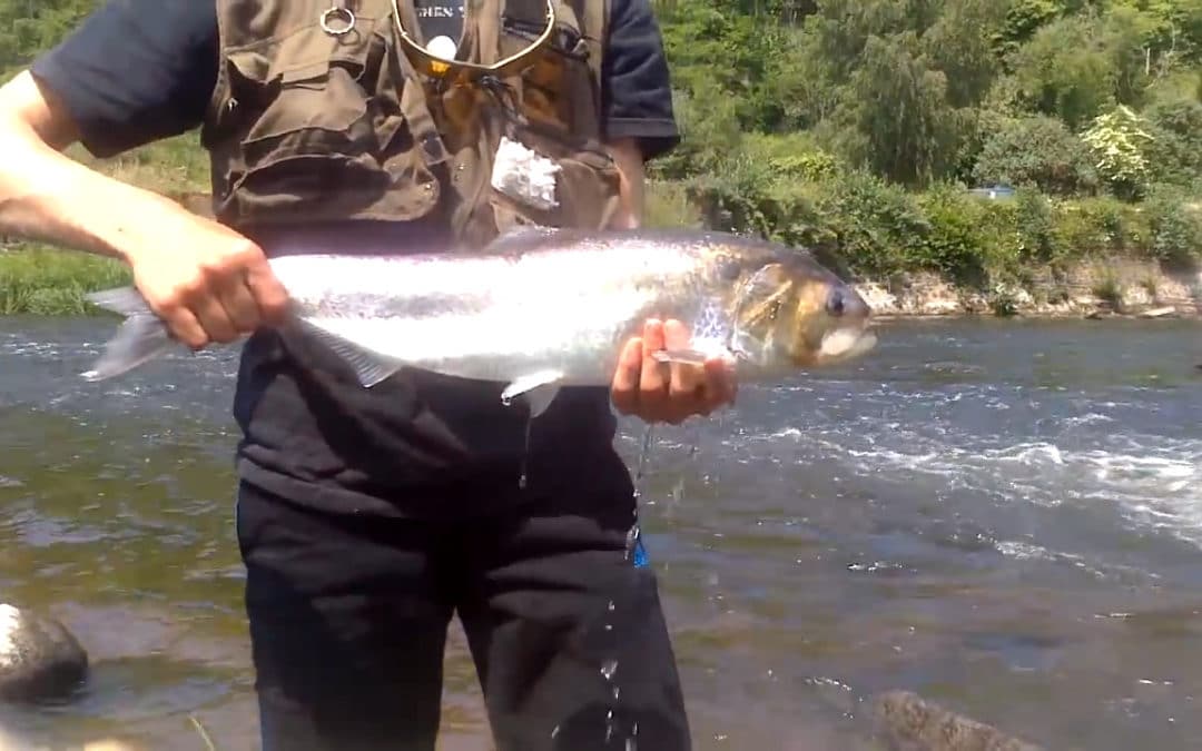 Sortie pêche ABPM 10 mai 2020