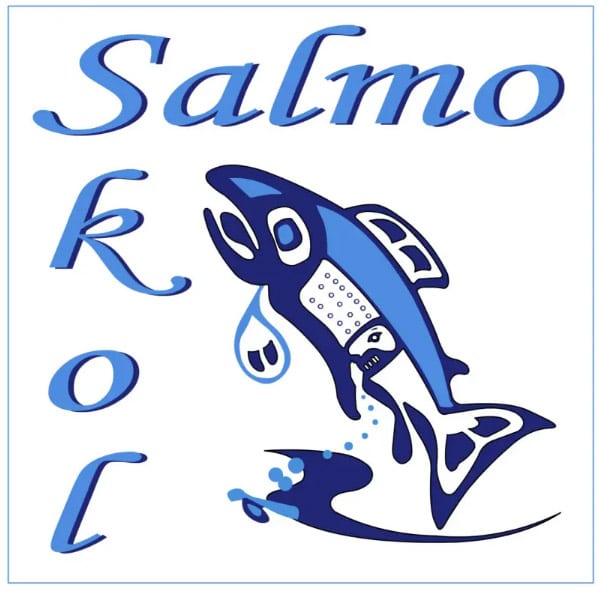 SALMO-SKOL