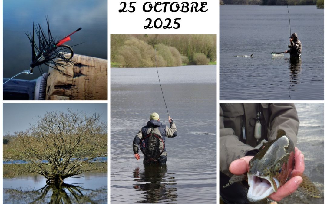 Sortie ABPM 25 octobre 2025
