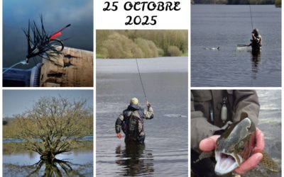 Sortie ABPM 25 octobre 2025