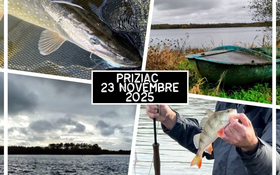 Sortie ABPM 23 novembre 2025