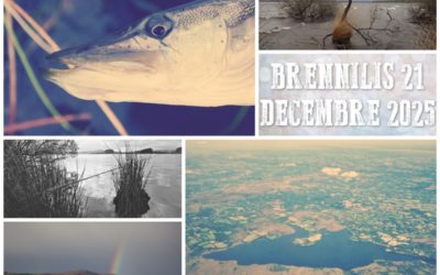 Sortie ABPM 21 décembre 2025