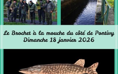 Sortie ABPM 18 janvier 2026