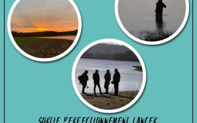 Sortie ABPM 17mai 2026