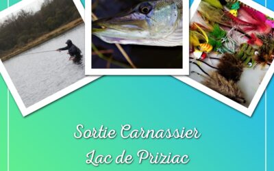 Sortie ABPM 23 mai 2026