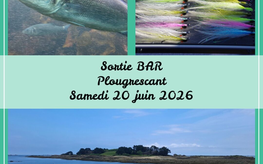 Sorties ABPM 14 et 20 juin 2026