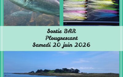 Sorties ABPM 14 et 20 juin 2026